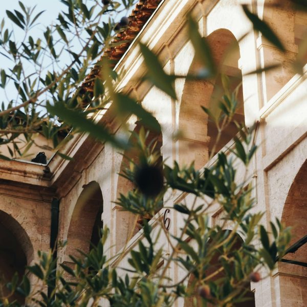 anastasia-zhenina-LCUX9zLIaDs-unsplash